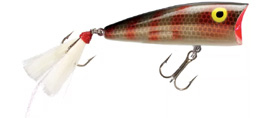 Topwater Lure