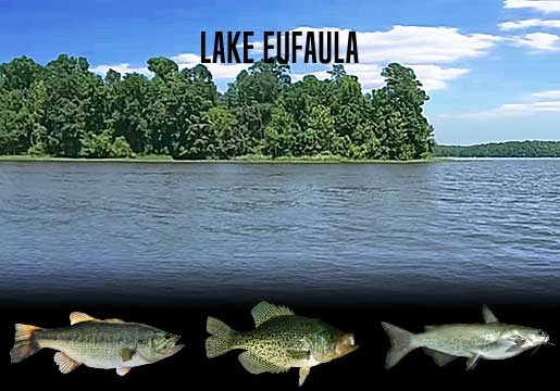 Fishing Report Lake Eufaula, AL