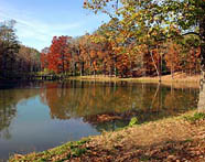 Arkansas fisking lakes