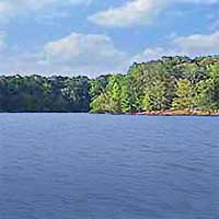 DeGray Lake Reports