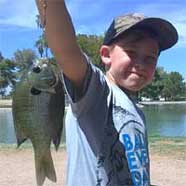Chance Crowley with a nice bluegill