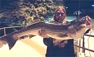 22lb AZ Striped Bass