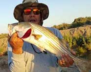 Joe with striped bass