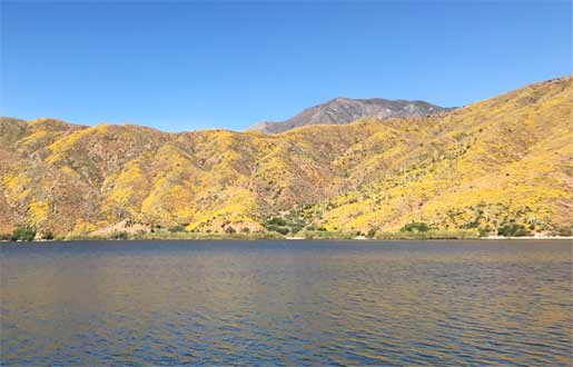 Apache Lake Across From Burnt Coral