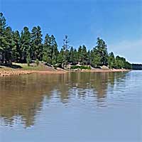 Lake Mary Reports