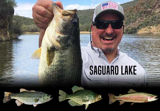 Fishing Report Saguaro Lake, AZ