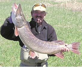 20-pound Colorado Pike
