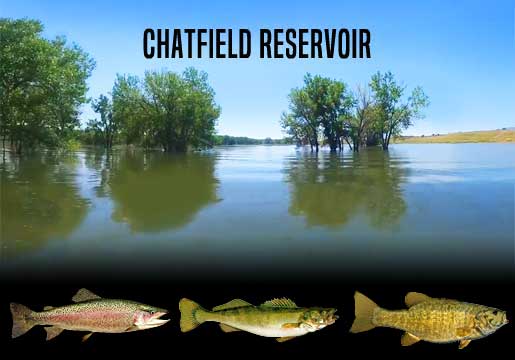 Fishing Report Chatfield Reservoir, CO