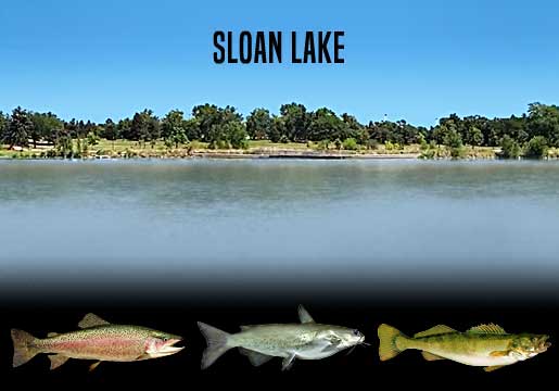 Fishing Report Sloan Lake, CO