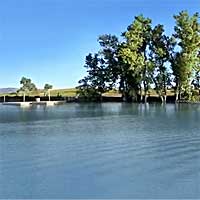 Standley Lake Reports