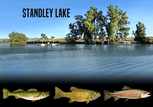 Fishing Report Standley Lake, CO