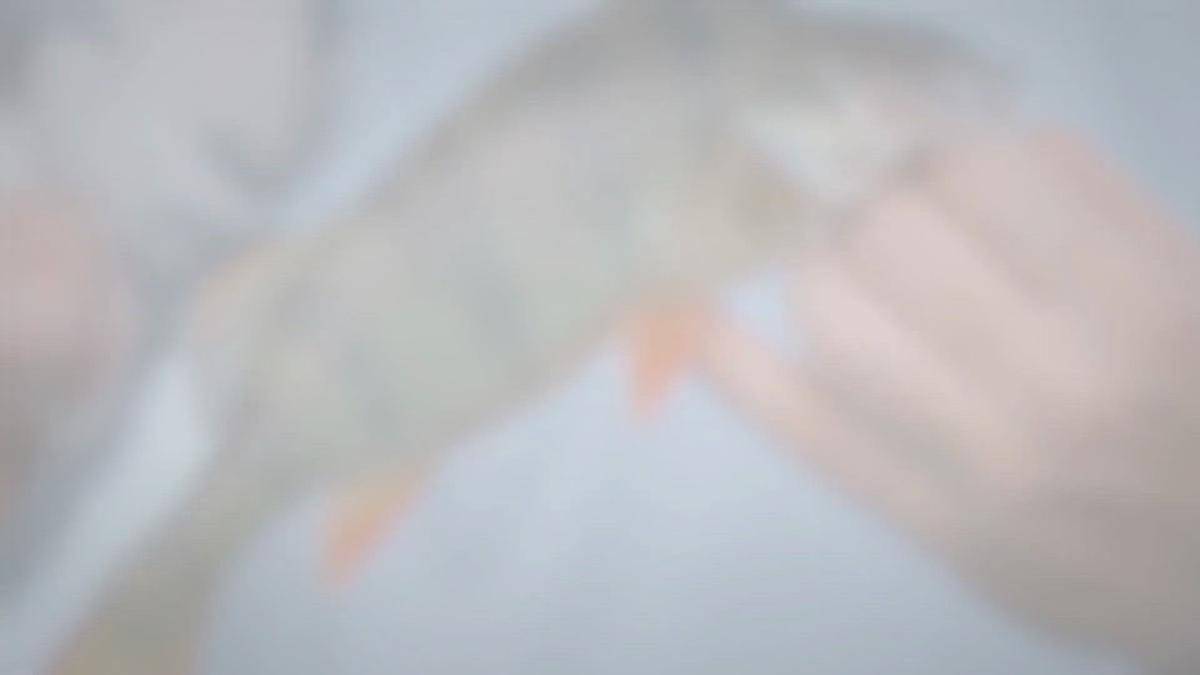 Humix video