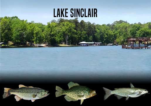 Fishing Report Lake Sinclair, GA