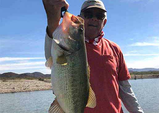 Author - Rick Seaman Big Bass