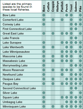 New Hampshire major lakes and fish chart