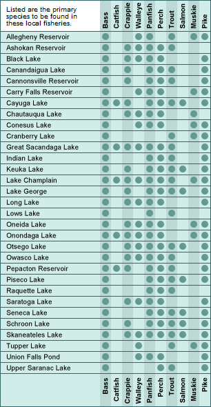 New York major lakes and fish chart
