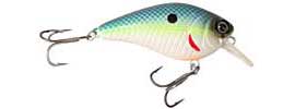 Bass Pro Shops Square Bill Crankbait