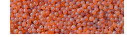 Salmon eggs for panfish fishing