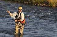 Trout fishing in Colorado