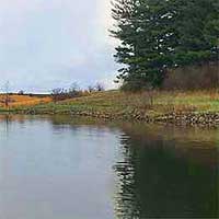 Lost Grove Lake Reports