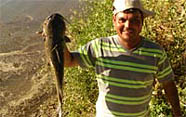 Catfish caught in ID by Vincente Arredondo
