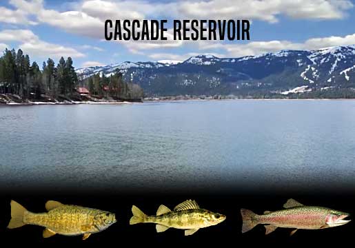 Fishing Report Cascade Reservoir, ID