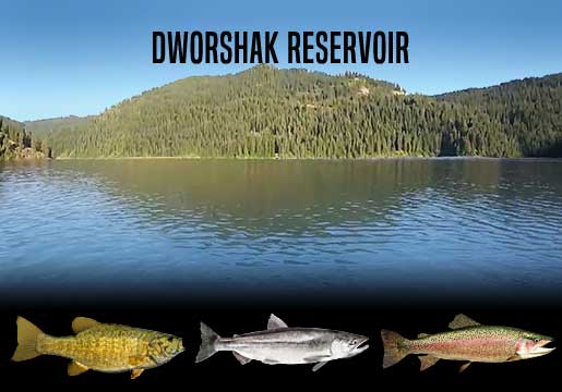Fishing Report Dworshak Reservoir, ID