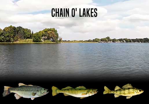 Fishing Report Chain O' Lakes, IL
