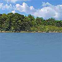 Hardy Lake Reports