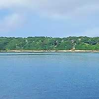 Monroe Lake Reports