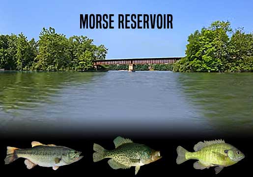 Fishing Report Morse Reservoir, IN