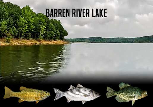Fishing Report Barren River Lake, KY