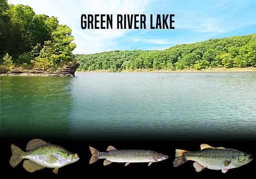 Fishing Report Green River Lake, KY