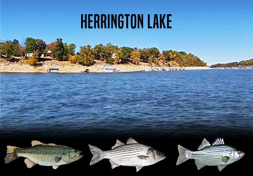 Fishing Report Herrington Lake, KY