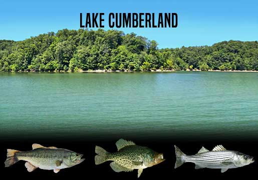 Fishing Report Lake Cumberland, KY