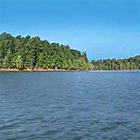 Rough River Lake Reports