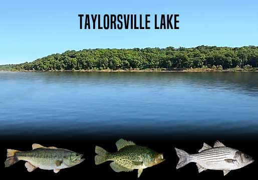 Fishing Report Taylorsville Lake, KY