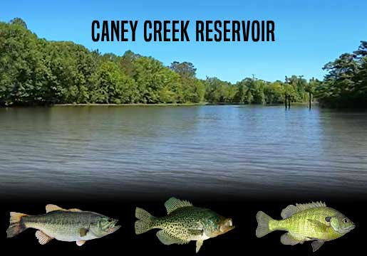 Fishing Report Caney Creek Reservoir, LA