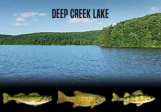 Fishing Report Deep Creek Lake, MD