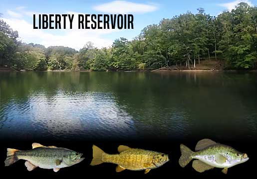 Fishing Report Liberty Reservoir, MD