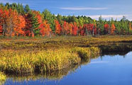 Maine Fishing Lake