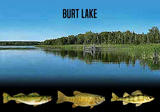 Fishing Report Burt Lake, MI