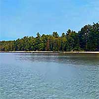 Higgins Lake Reports