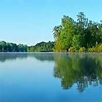 Long Lake Reports