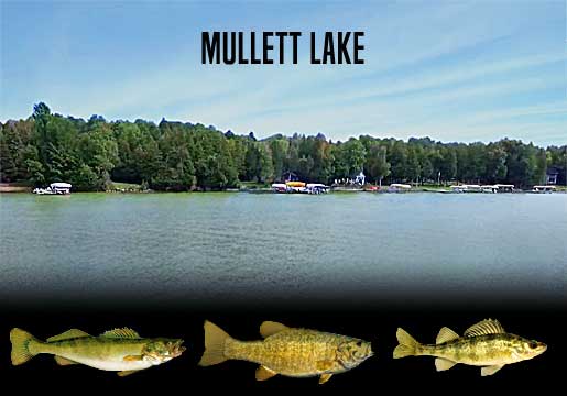 Fishing Report Mullett Lake, MI