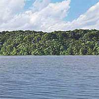 Lake Springfield Reports