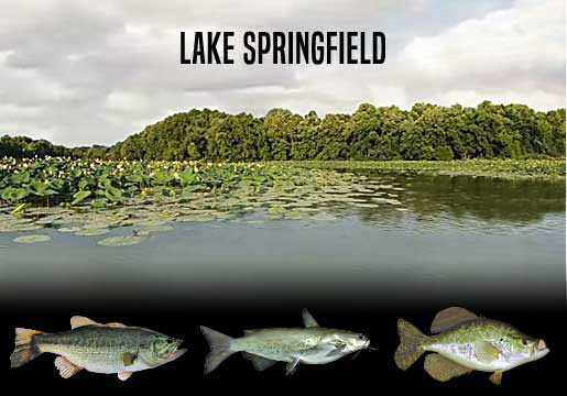 Fishing Report Lake Springfield, MO