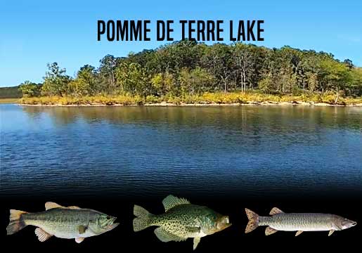 Fishing Report Pomme De Terre Lake, MO