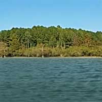 Sardis Lake Reports