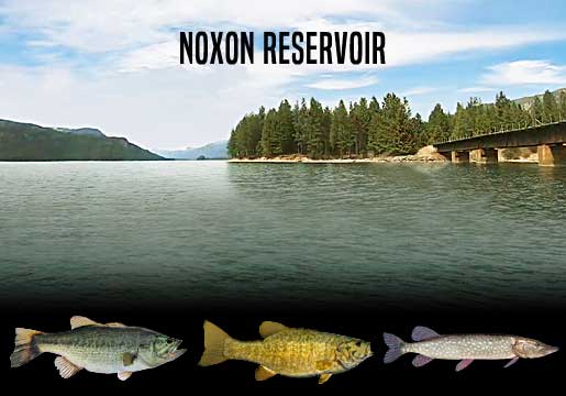 Fishing Report Noxon Reservoir, MT